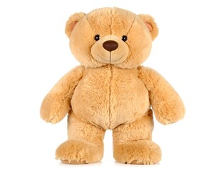 Fototapeta premium Beige teddy bear against white