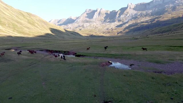 aerial drone view of sinuous river in the pyrenees mountains 
