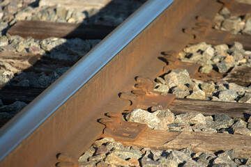 railroad tracks in the forest