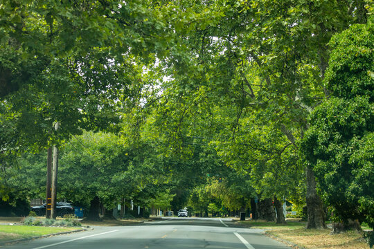 Driving through Corvallis, Oregon reveals a blend of tree-lined streets, college-town charm, and scenic Willamette Valley landscapes.