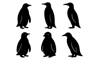 Fototapeta premium Penguin silhouette collection: minimalist black and white animal design set