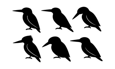 Obraz premium Kingfisher silhouettes: minimalist bird profiles in black and white