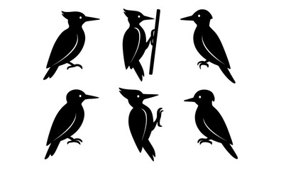 Naklejka premium Silhouette woodpecker collection: minimalist bird designs for nature enthusiasts