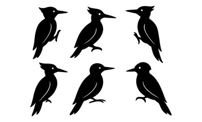 Naklejka premium Silhouette set of six woodpecker birds in various poses on white background