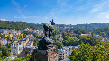 Chamois overlooking Karlovy Vary, Czech republic © dudlajzov