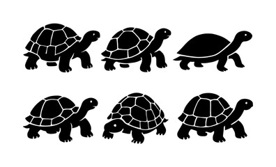 Set of silhouette turtles in various poses on white background