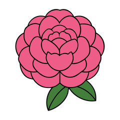 Obraz premium Peony Flowers White Background Vector Illustration