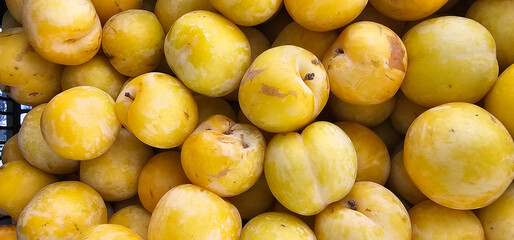 A heap of ripe yellow plums with natural spots and smooth skin, captured in close-up after harvest. summer fruit