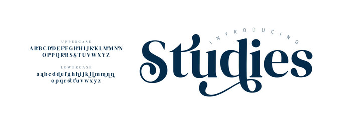 Studies Elegant Font Uppercase Lowercase and Number. Classic Lettering Minimal Fashion Designs. Typography modern serif fonts regular decorative vintage concept. vector illustration

