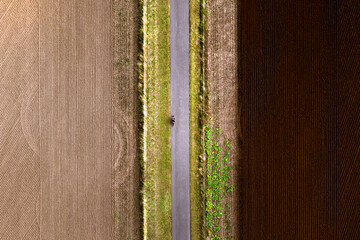 Top down aerial view of a cyclist riding a bike alone in beautiful countryside. Fertile, ploughed farmland on either side with rake patterns in the ground. Aligned horizontal lines. Background 