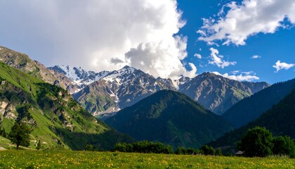 Majestic mountain range with wildflowers
