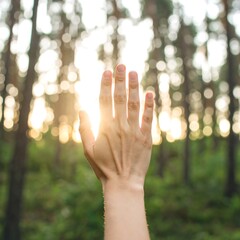 Hand reaching for sunlight in forest