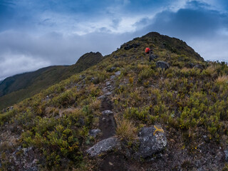 Hiker on his way to the summit of Cerro Urán on a cold morning in Chirripo National Park, Costa Rica. © Saintdags