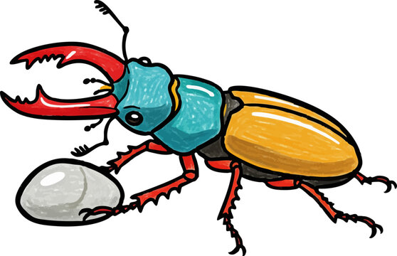 A Dorcus Hopei Stag Beetle Pushing a Small Pebble