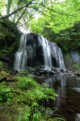 新緑の達沢不動滝
