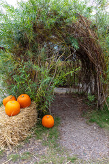 Rustic garden archway with woven branches, path, greenery, pumpkins on hay bale
