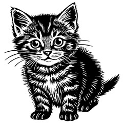 Fototapeta premium Front view of a Bambino cat sitting, looking at the camera, isolated on white