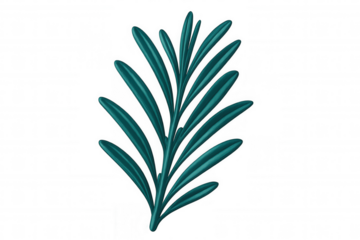 Teal palm leaf silhouette, presenting exotic botanical detail with crisp transparency and vivid tropical coloration
