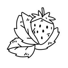 hand drawn strawberries