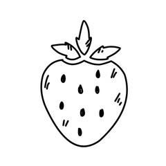hand drawn strawberries