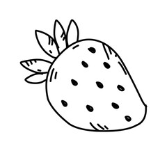 hand drawn strawberries