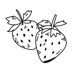 hand drawn strawberries