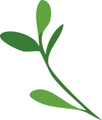 Fototapeta premium Green plant illustration on white background
