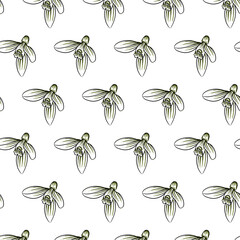 Snowdrop or Galanthus elwesii flower Seamless Pattern Hand drawn vector line art, Black and Green Flower isolated in white. Beautiful design for textile, wallpaper, wrapping paper
