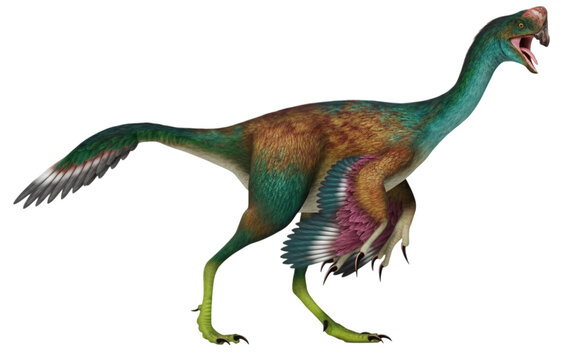 Realistic PNG of Citipati osmolskae, feathered dinosaur with crest, vibrant colors, transparent background