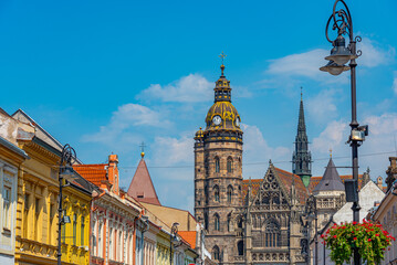 Fototapeta premium Saint Elisabeth cathedral in Kosice, Slovakia