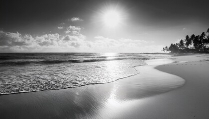 monochrome tropical beach background with soft sun reflections