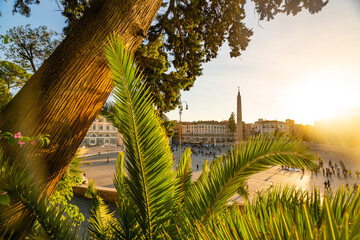Sunset Over Rome: Scenic View from a Tree in the Plaza