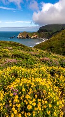 Coastal wildflowers bloom against a dramatic sky
