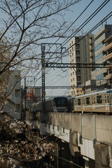 Obraz premium Japan railway