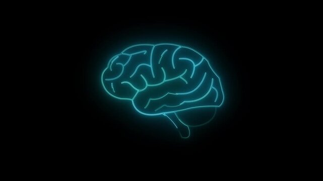 Low poly wireframe brain with connection dots glowing on black background. Continuous.brain with connection dots glowing.Brian contours. Glowing blue brain contours on black background.4k video