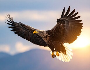 Majestic eagle soaring at sunset