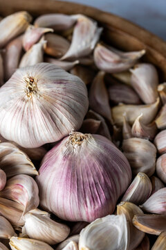 Bulb of garlic sitting in cloves of garlic in a wood bowl