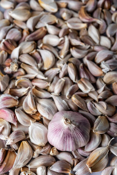 Bulb of garlic sitting in cloves of garlic 
