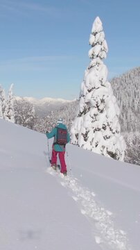 DRONE: Fit female tourist explores the ungroomed hills during a ski touring trip. Flying around an active young woman on splitboarding trip in the Julian Alps crossing the picturesque snowy meadow.