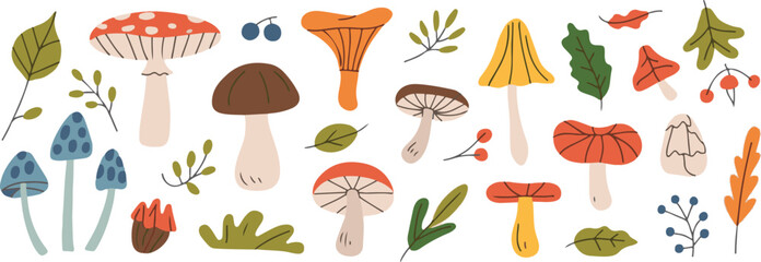 set of autumn leaves