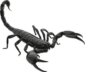scorpion isolated on white background