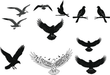 Bird silhouette and line art vector, flying birds, perched poses, detailed wings, nature illustration, wildlife graphic elements, avian design assets