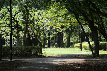 日比谷公園の風景
