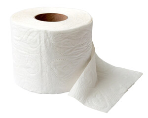 roll of toilet paper