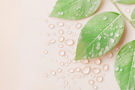 Green leaves and water droplets on beige background, ideal for nature themed designs, wellness concepts, environmental campaigns, and organic product promotions.