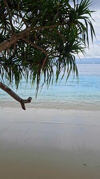 4K footage of a butterfly flying over a pristine white sandy beach with tropical pandanus trees and gentle ocean waves in a serene natural setting.