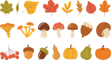 Obraz premium set of autumn leaves