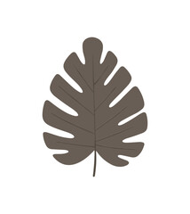 Tropical Monstera Leaf Silhouette Illustration