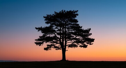 Silhouette tree against gradient sky