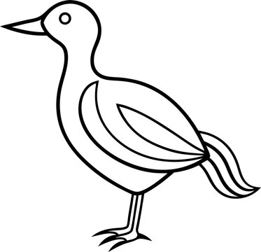 Bird Line 26
